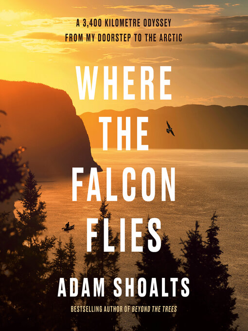 Cover image for Where the Falcon Flies